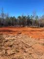 0 Springbrook Lane - Photo 7
