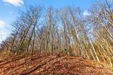 100 Wolf Pen Road - Photo 22