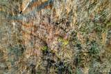 100 Wolf Pen Road - Photo 26