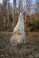 276 Cedar Creek Road - Photo 9