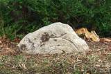 276 Cedar Creek Road - Photo 10