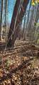 Lot 3 Turtle Rock Lane - Photo 17