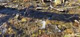 Lot 3 Turtle Rock Lane - Photo 6