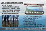 TBD Bobcat Mountain Road - Photo 1