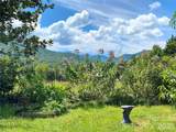 3 Taproot Trail - Photo 21