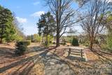 12409 Cranberry Glades Drive - Photo 29