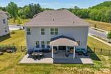 4138 Wild Olive Drive - Photo 4