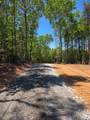 TBD Vein Mountain Road - Photo 2