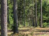 2134 Princeton Mountain Mountain - Photo 1