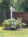 10300 Lady Grace Lane - Photo 21