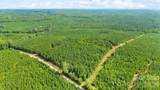 000 Blanton Road - Photo 1