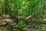 000 Blanton Road - Photo 20