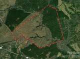 000 Blanton Road - Photo 10