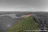 83 Acres +/- Pleasant Grove Road - Photo 5