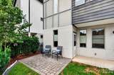 66 Burton Street - Photo 7