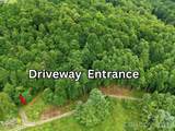 220 Screaming Eagle Drive - Photo 3