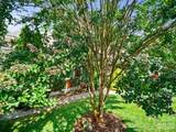 6 Oak Springs Drive - Photo 32