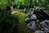 8619 Cedar Knoll Drive - Photo 45