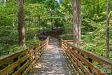 919 Thorn Ridge Lane - Photo 39