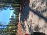 15 Vein Mountain Road - Photo 1