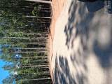 15 Vein Mountain Road - Photo 12