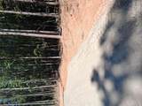 15 Vein Mountain Road - Photo 6