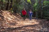 1.85 acres Lot 154 Rocky Falls Lane - Photo 29