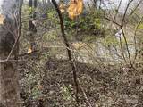 161 Little River Trail - Photo 6