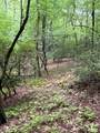 55 Locust Court - Photo 17