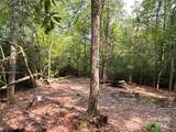 55 Locust Court - Photo 5