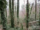 Lot #22 Toxaway Falls Drive - Photo 4