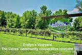 1.85 acres, Lot 925 High Valley Way - Photo 34