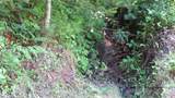 2079 Roses Branch Road - Photo 20