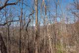 96 Castanea Mountain Drive - Photo 14