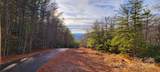 55 Chickasaw Way - Photo 14