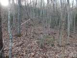 00 Hoot Owl Bill Road - Photo 17