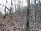 00 Hoot Owl Bill Road - Photo 18