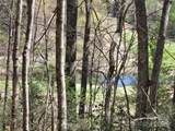 Lot 12 Summer Morning Court - Photo 6