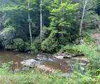 0000 Big Laurel Road - Photo 10