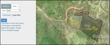 5.64 acres Big Hungry Road - Photo 6