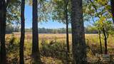 10130 Reed Mine Road - Photo 2
