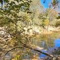 10130 Reed Mine Road - Photo 11
