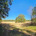 10130 Reed Mine Road - Photo 12