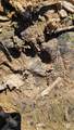 10130 Reed Mine Road - Photo 19