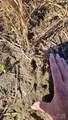 10130 Reed Mine Road - Photo 20