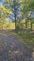 10130 Reed Mine Road - Photo 8