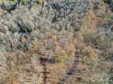 99999 Black Bear Ridge Trail - Photo 1