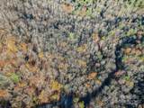 99999 Black Bear Ridge Trail - Photo 11