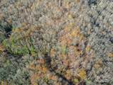 99999 Black Bear Ridge Trail - Photo 12