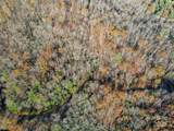 99999 Black Bear Ridge Trail - Photo 14